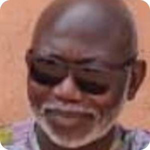 Bonaventure Sodonon, Rtd. Former UNDP. Strategic Advisor in Development, Governance, Peace and Security